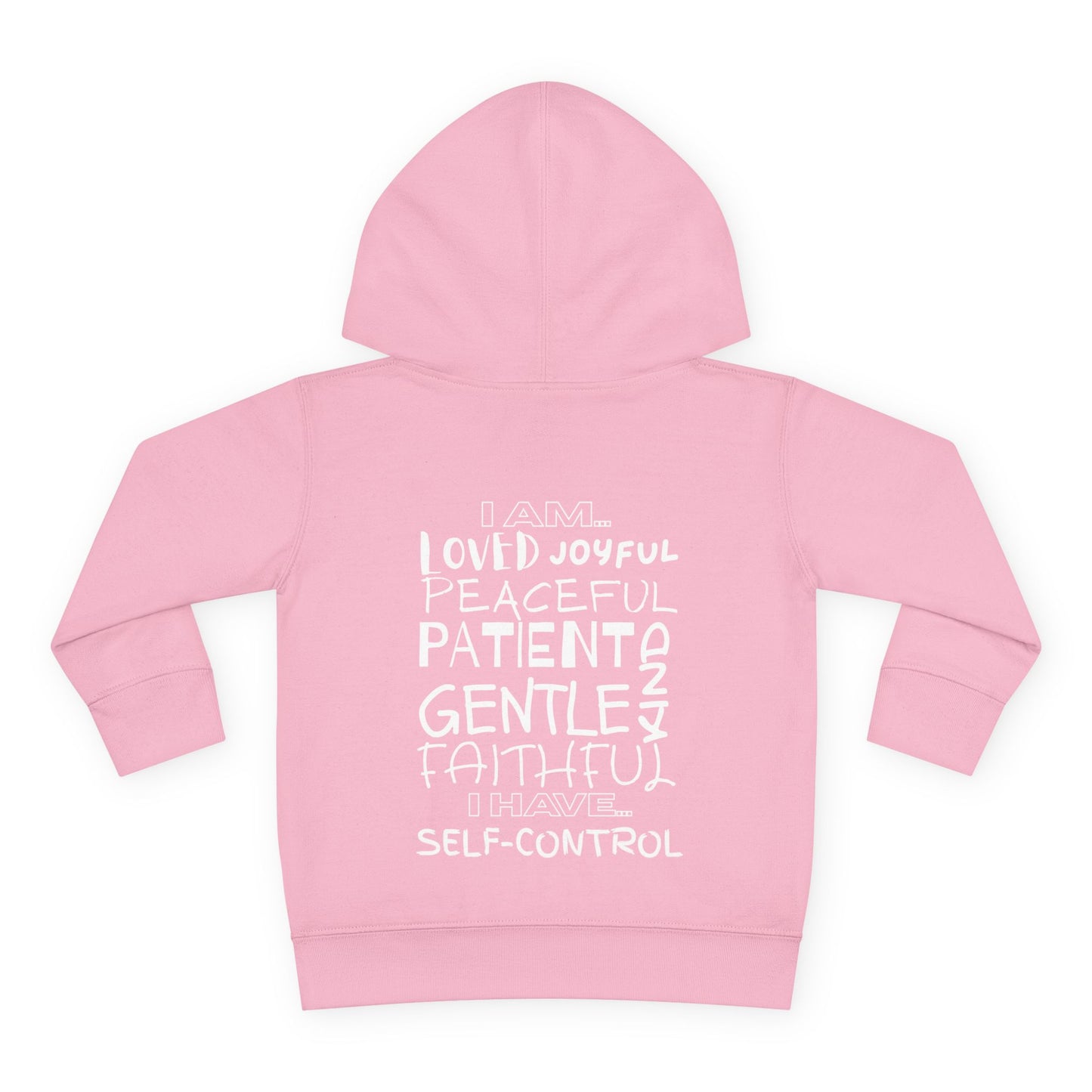 Ms Ash Daily Affirmation Toddler Hoodie