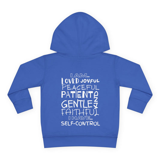 Ms Ash Daily Affirmation Toddler Hoodie